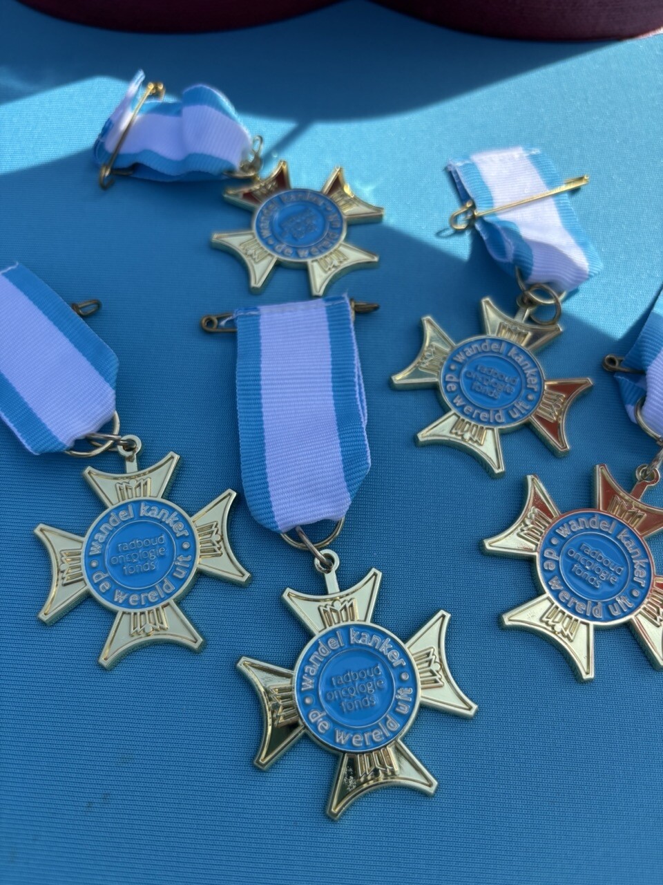 Vierdaagse sponsorloop 2025 24
