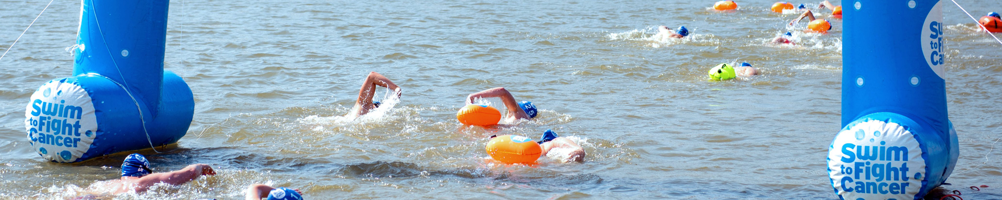 Swim ti fight cancer nijmegen 2025 header