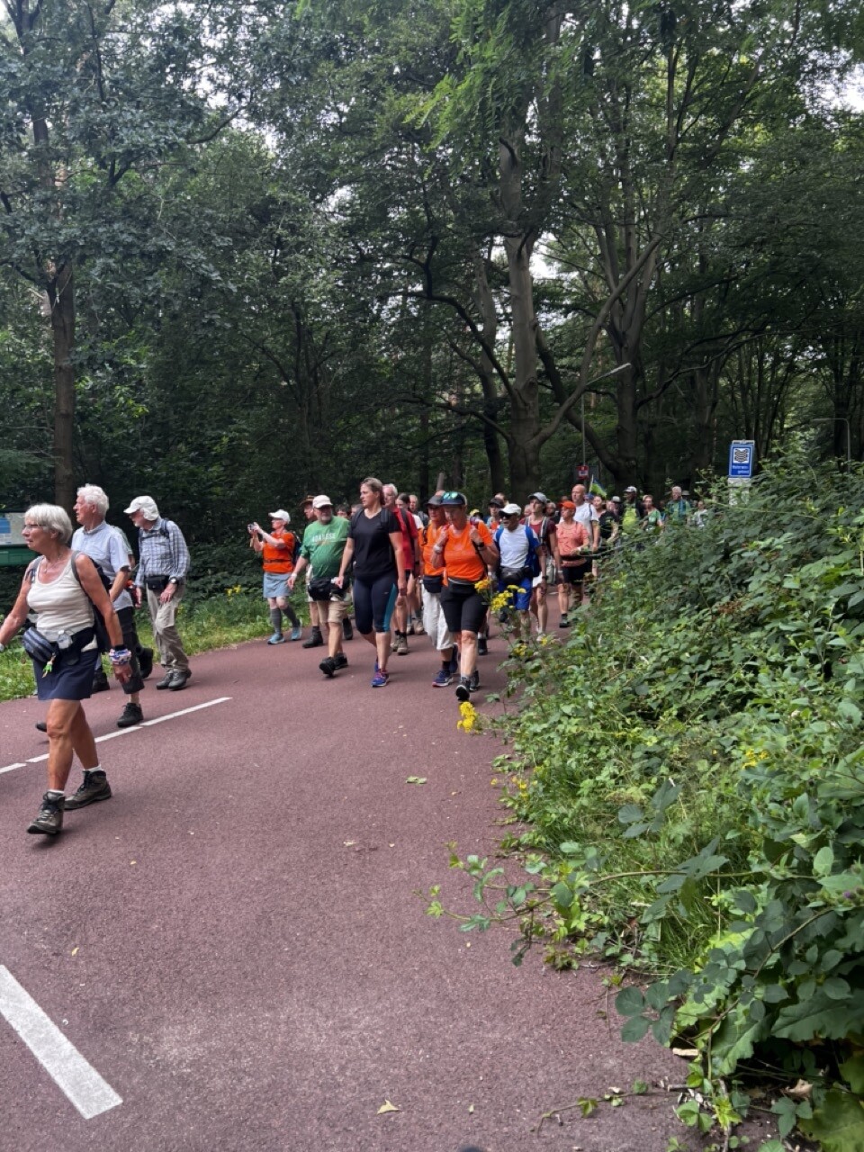 Vierdaagse Via Gladiola 2024 145