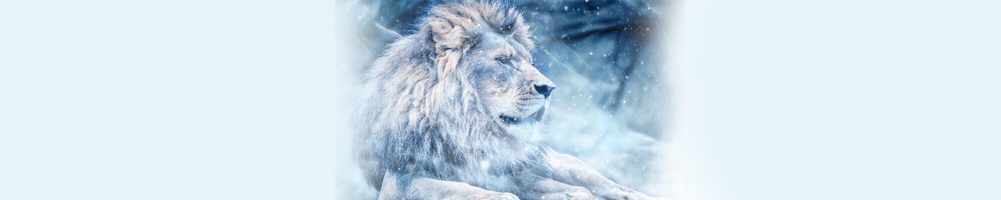 wintergala-header