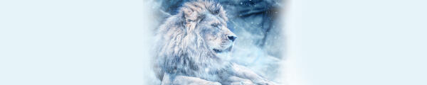 wintergala-header
