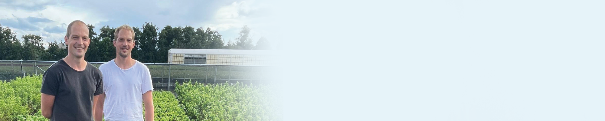 Medusa in het zonnetje header