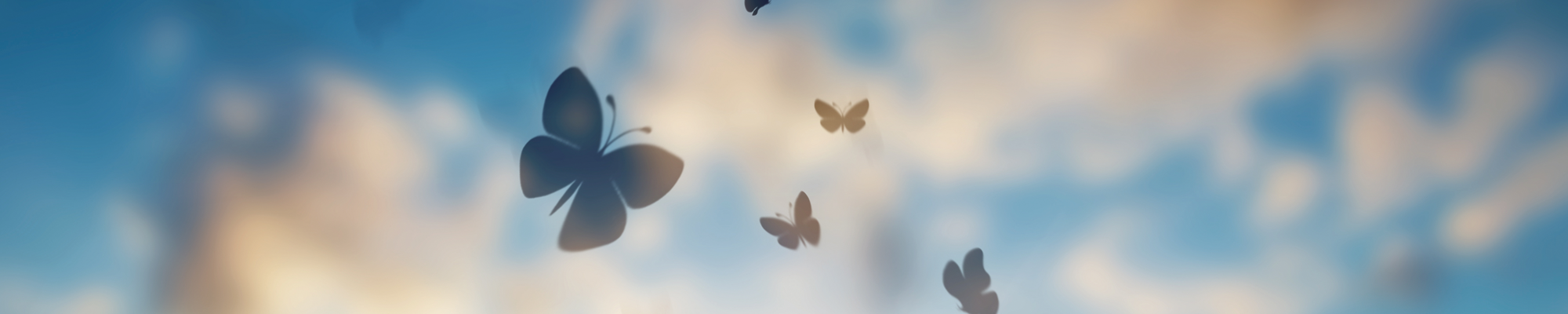 Stichting Louise Vehmeijer header