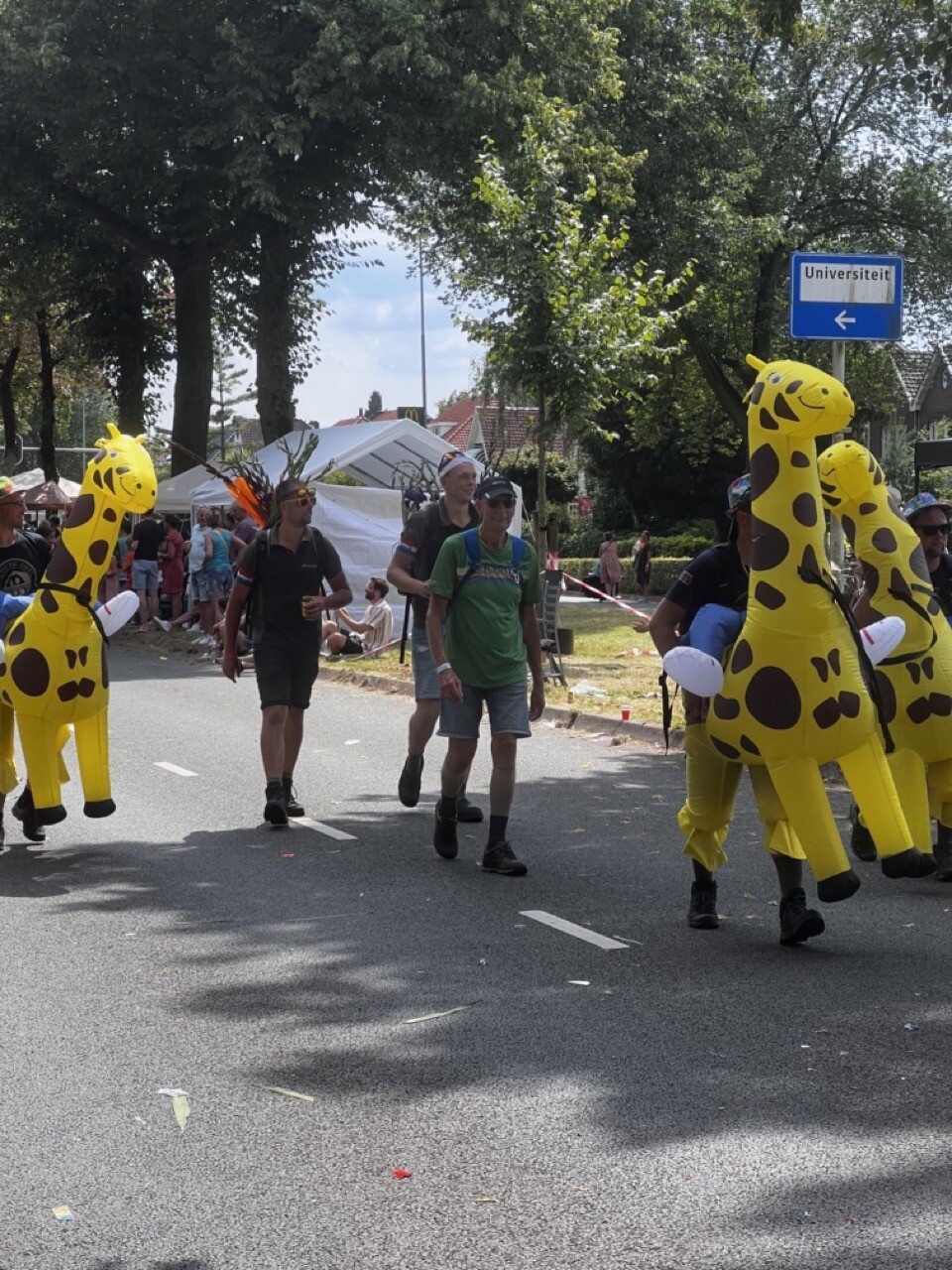 Vierdaagse Via Gladiola 2024 273