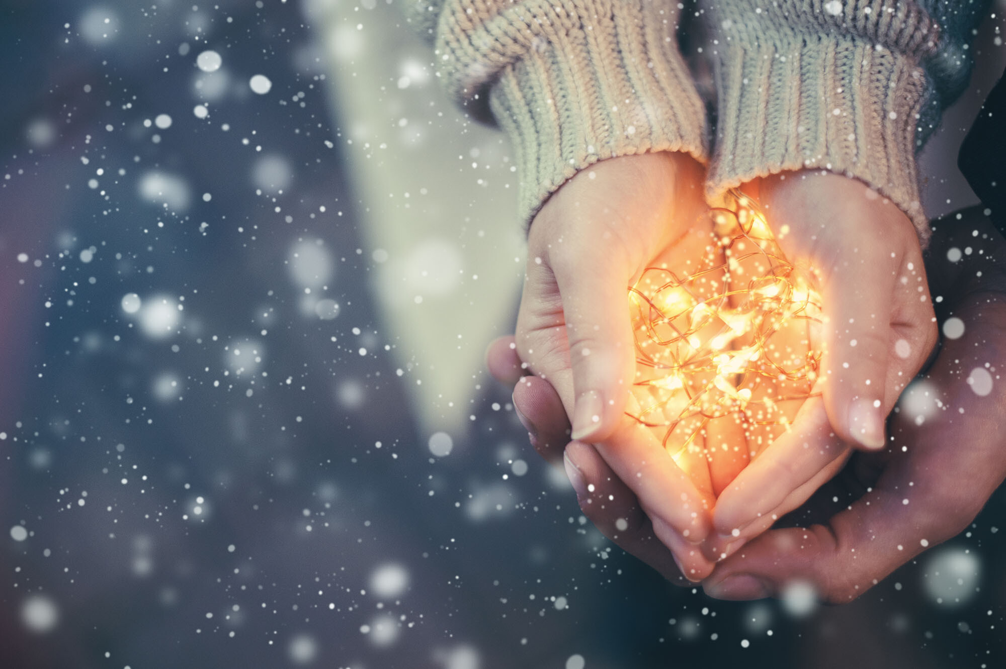 winter-lichtjes-wandeling-1705647207_1669544515