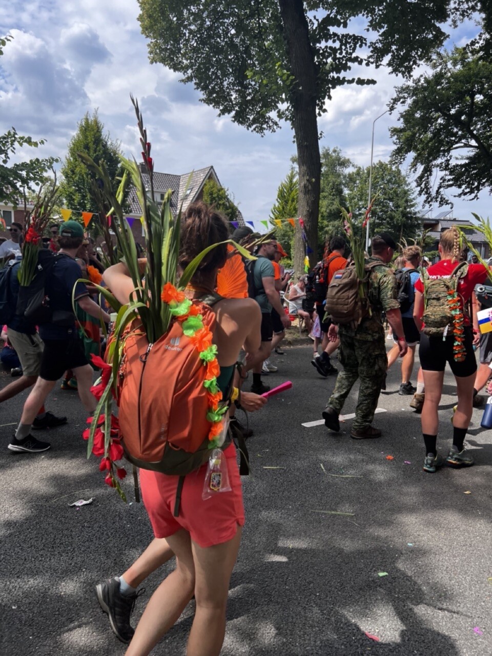 Vierdaagse Via Gladiola 2024 269